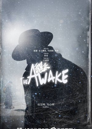 Awaken (0000) poster