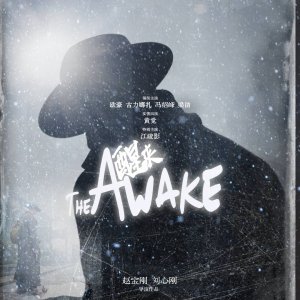 The Awake ()