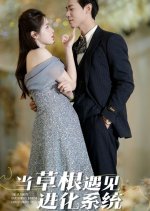 The Ultimate Grassroots Binding Evolutionary System Chinese Drama photo