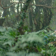 Dear Hongrang Korean Drama photo