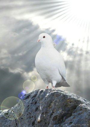 IanuaCoeli