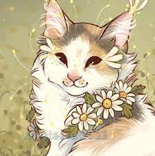 Kat
