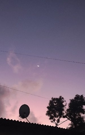 moonie