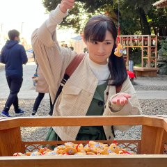 Wakako Zake Season 6 Japanese Drama photo