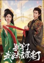 Bie Deng Le, Wo Jia Fu Jun Deng Ji Le Chinese Drama(2025) photo