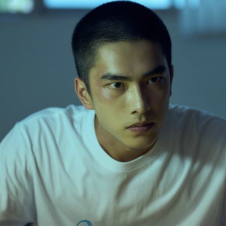 Had I Not Seen the Sun (2025)