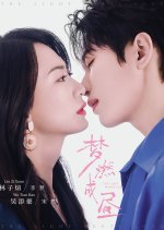 The Light Meets Love Chinese Drama(2025) photo