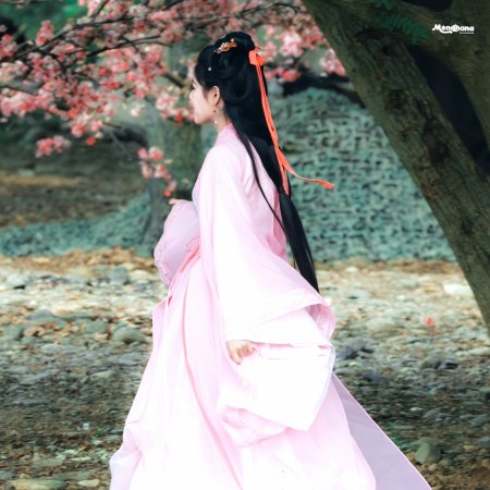 Key to the Phoenix Heart (2026)