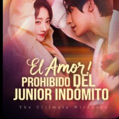 The Wild One Chinese Drama(2025) photo