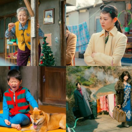 Typhoon Family (2025)