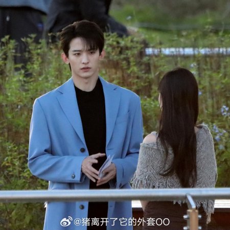 The Vanishing Beauty ()