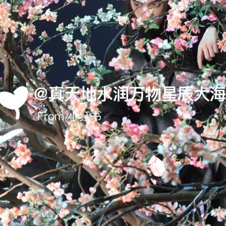 Tian Du Yi Wen Lu ()