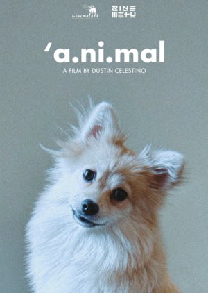 'a.ni.mal (0000) poster
