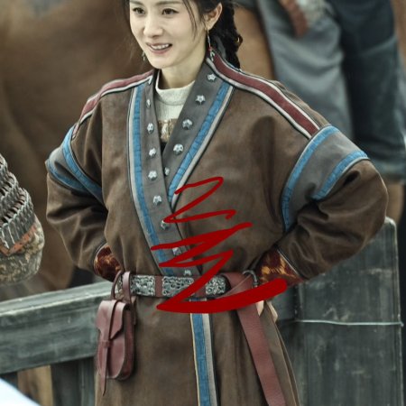 Northern Wei Dynasty ()