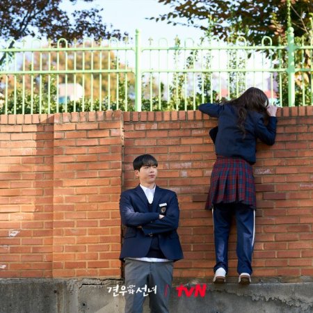 Head over Heels (2025)