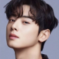 Cha Eun-woo