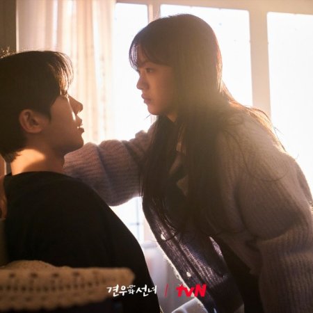 Head over Heels (2025)