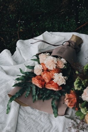 whynot_carnations