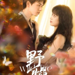 Wild Fire (2025)