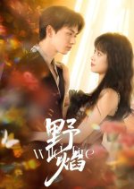 Wild Fire Chinese Drama photo