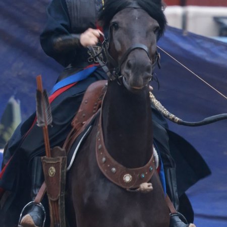 Key to the Phoenix Heart (2026)