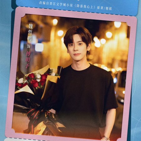 Blossom through the Cloud ()