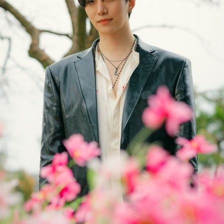 Typhoon Family (2025)