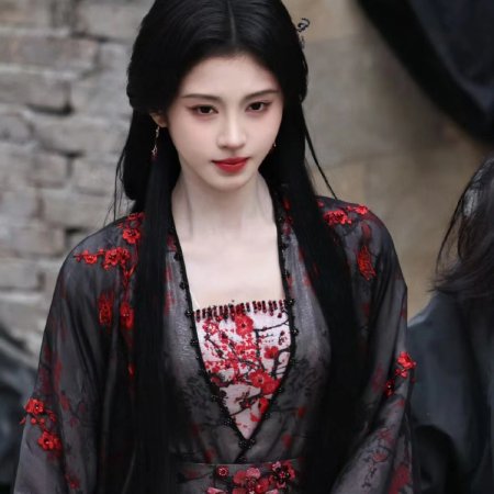 Veil of Shadows (2026)