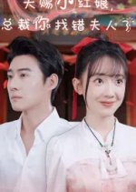 Tian Ci Xiao Hong Niang, Zong Cai Ni Zhao Cuo Fu Ren Le Chinese Drama photo