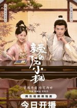 Ruan Xiaofeng's Royal Love Quest Chinese Drama photo