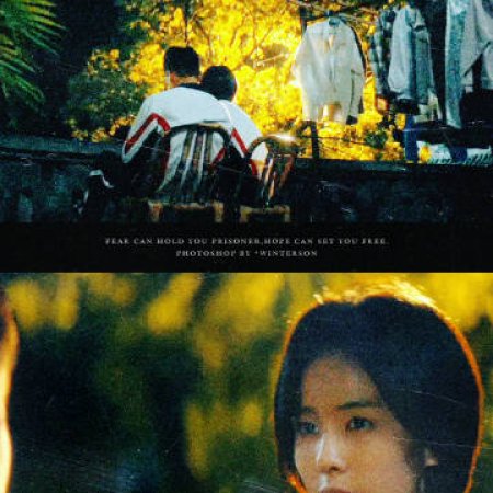 Northward (2025)