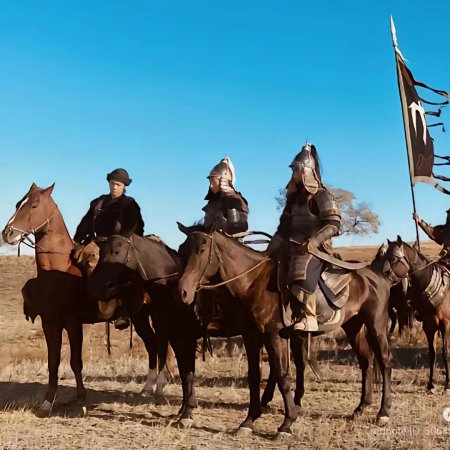 Legends of the Condor Heroes: The Gallants (2025)