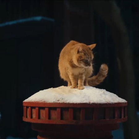 Twelve Letters (2025)