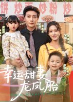 Twin Miracle of Love Chinese Drama(2025) photo