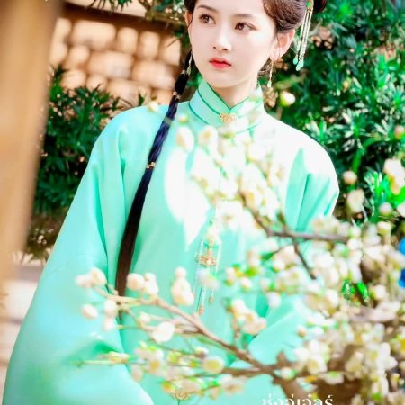 Biao Mei Wan Fu ()