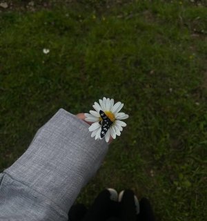 ZakriaKhanSiddeqee