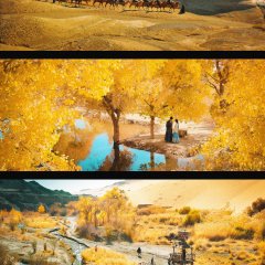 The Road to Splendor Chinese Drama photo