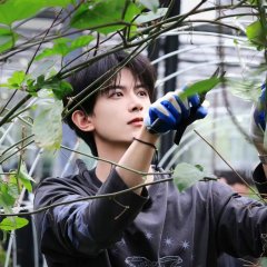 Deng Kai photo