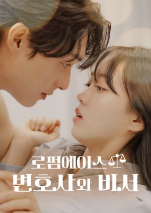 Law Firm Romance: The Attorney and the Secretary (2025) poster