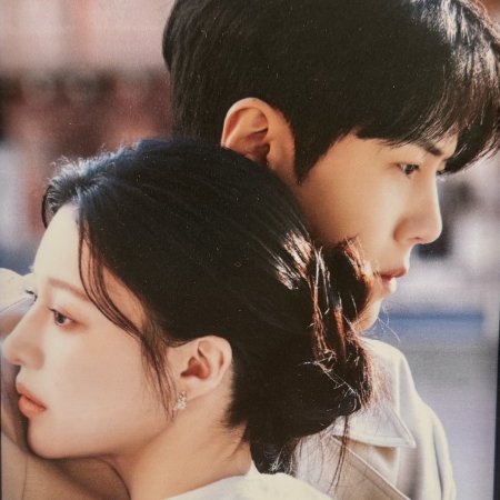 Can This Love Be Translated? (2026)