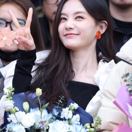 The Vanishing Beauty ()