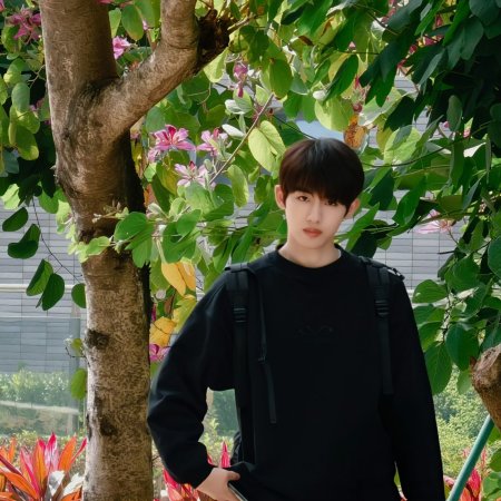 Sunshine through the Rain ()