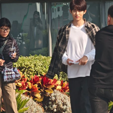 Sunshine through the Rain ()