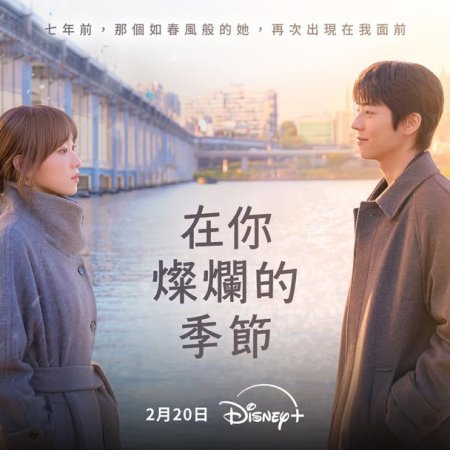In Your Radiant Season (2026)