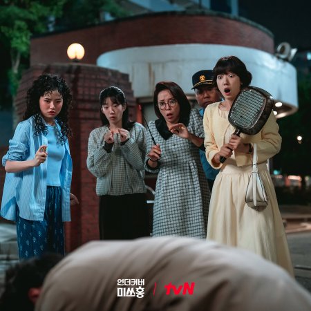 Undercover Miss Hong (2026)