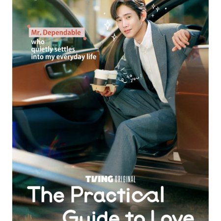 The Practical Guide to Love (2026)