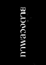 Delusion Thai Drama(0000) photo