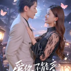 Love You without Words Chinese Drama(2024) photo