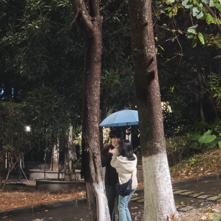 Sunshine through the Rain ()