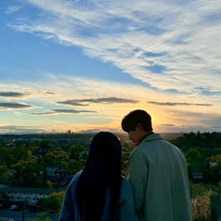 Can This Love Be Translated? (2026)